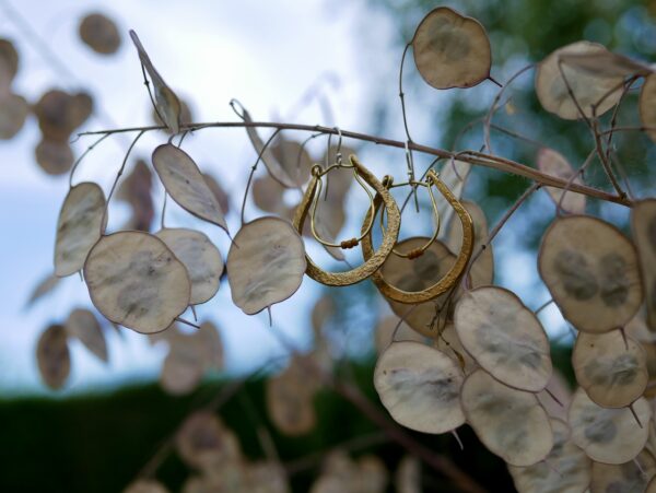 Honesty Drop Earrings